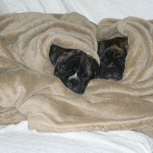 Meet your Posher, Kendra